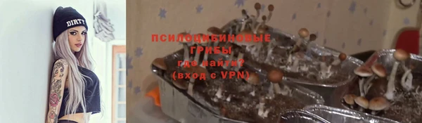 бутират Алзамай