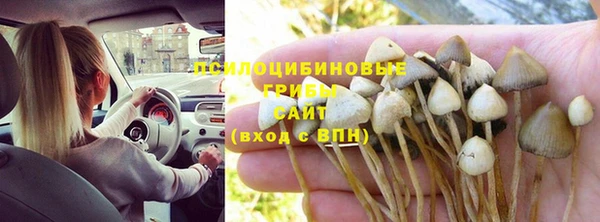 бутират Алзамай