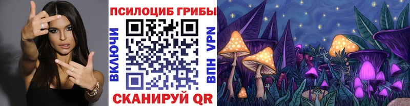 Галлюциногенные грибы Cubensis Богородск