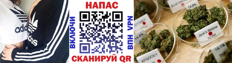 кракен сайт Богородск Шишки марихуана индика